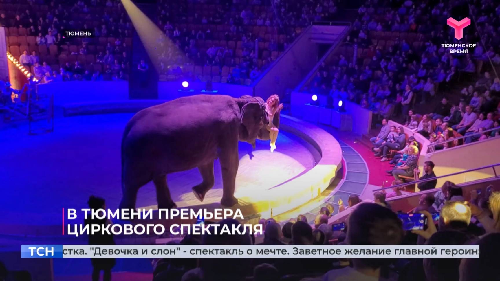 «Девочка и слон»