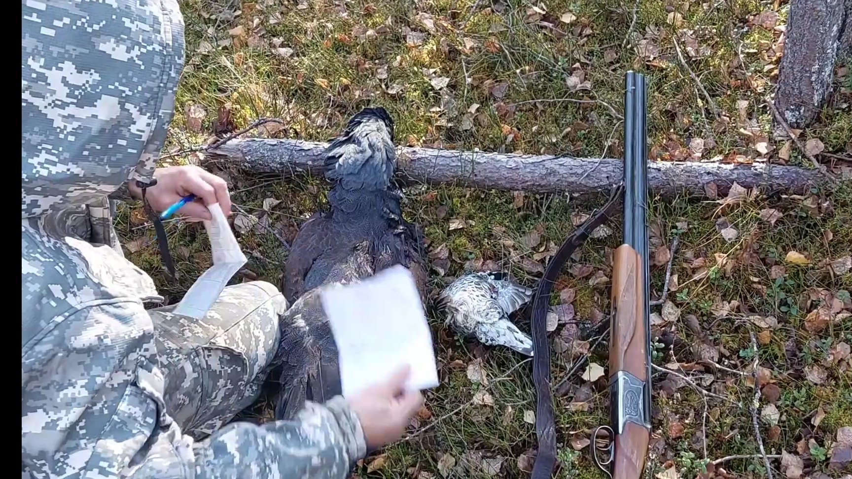 Охота на боровую.Добыли Глухарей.