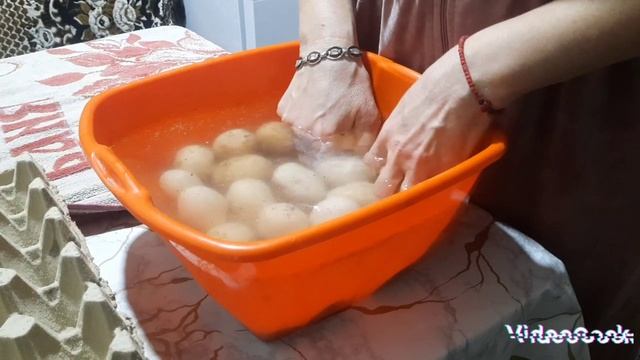 Открыли инкубационный сезон.Наши будни
