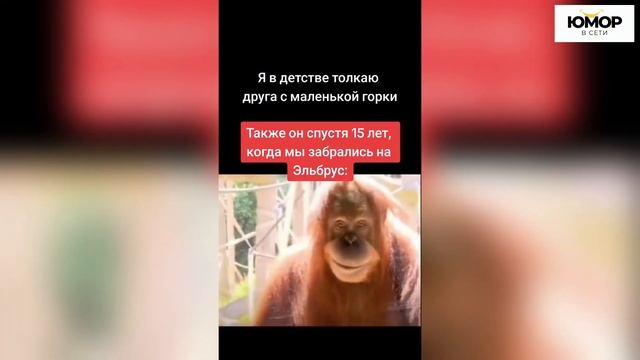 03. СМЕШНЫЕ ВИДЕО ИЗ ТИК ТОК   ЛУЧШИЕ ПРИКОЛЫ ЗА ЯНВАРЬ 2025 #26 😎