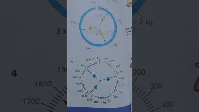 weight Reading Scales pg79(b)