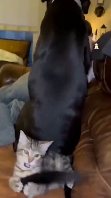 1000072856.mp4