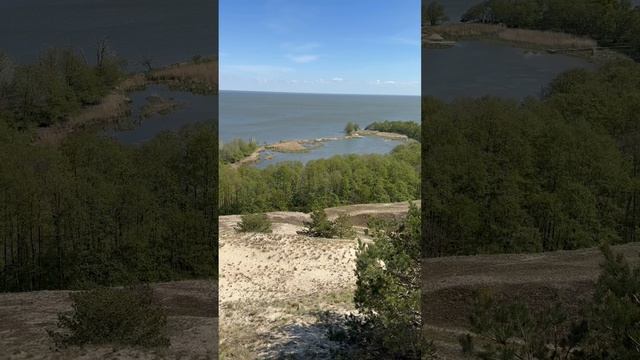 Куршская коса