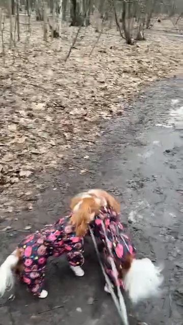 😇😇😇Девчонки на прогулке😇😇😇