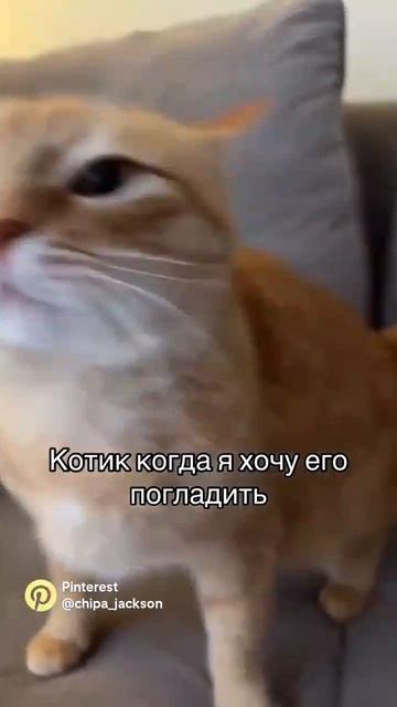 Видео из пинтереста