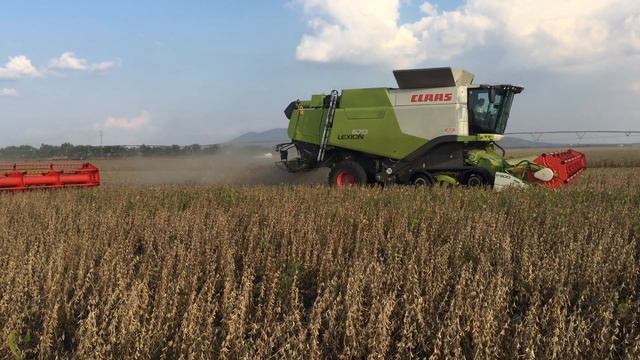 lexion 670 vrsacki ritovi 2016