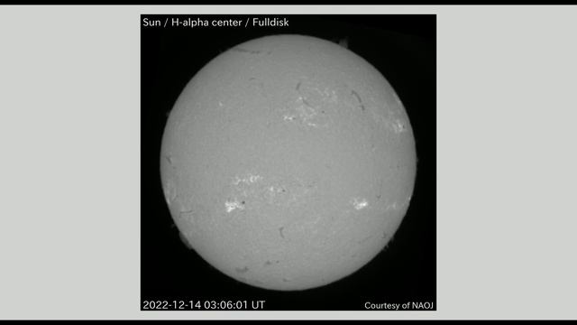 太陽 Hα全面観測 全面画像 2022年12月14日(Sun H-alpha Full Scale Observation, Full Image, Dec. 14, 2022)