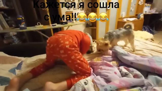 Капай!!!
