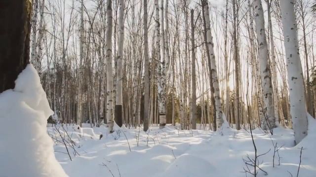 В небо дорога