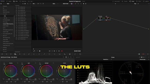 How to Apply LUTs in DaVinci Resolve   Resolve for Beginners