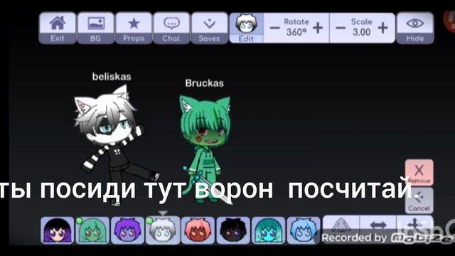 ссора Белискаса и Вискаса