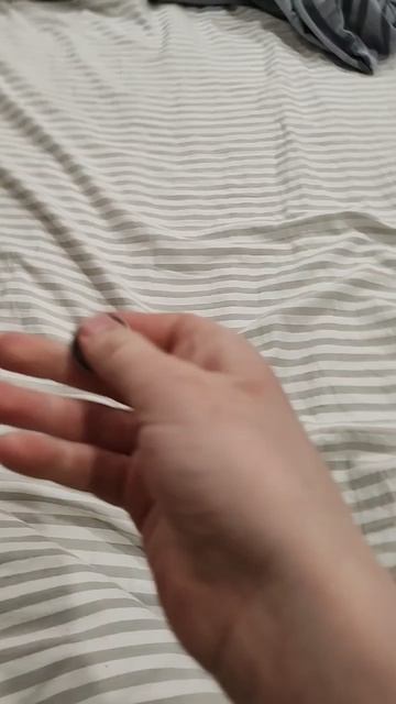 scene_output.mp4