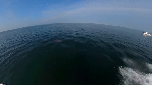 Pirate 21 fast Uk fishing boat doing a lap of cardigan bay,pirate fishing boat,warrior ,fishing