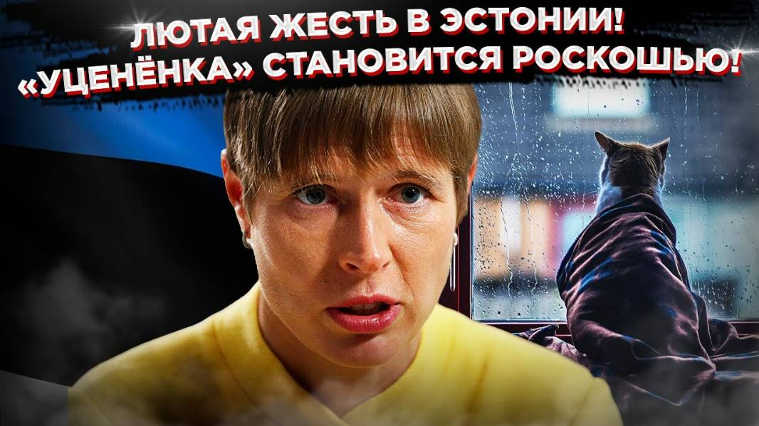 2025. В ЭСТОНИИ ЖЕСТКАЯ ЭКОНОМИЯ И МАРАЗМ ВЛАСТИ: дайджест новостей. Прогноз А.РОЖИНЦЕВА