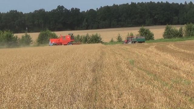 Bizon Super Z056/5 z 1990 roku kosi pole o powierzchni 17 hektarów