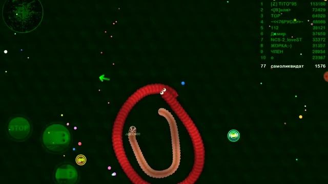 Играем в вормакс.ио играем просто так😉(Wormax.io)