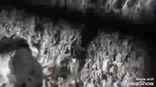 КАФТАРОИ ХДМ 06.07.2022🇹🇯🕊🇹🇯🕊🇹🇯🕊