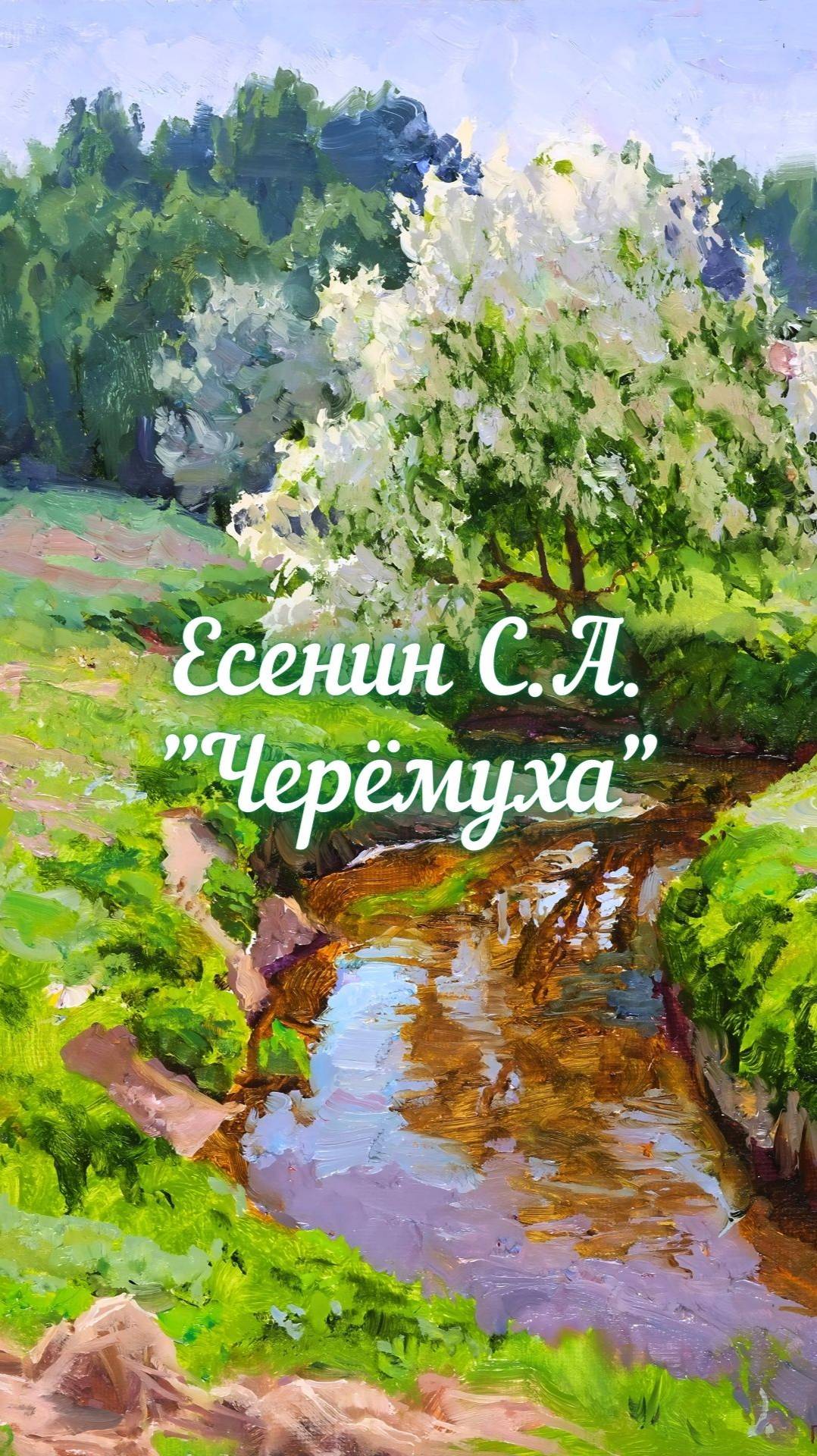 Есенин С.А. Черёмуха (Черёмуха душистая...)