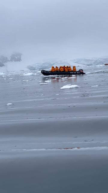 11933652_2160_3840_60fps