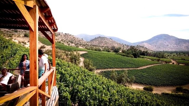 Ruta del Vino en Chile: Conoce la bodega Concha y Toro  #Prov #VideosEC