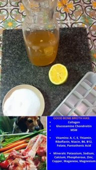 How to Hydrate a Dog Fast Using Broth Cubes #shorts