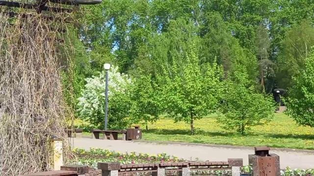Сад им. 250-летия Перми.
