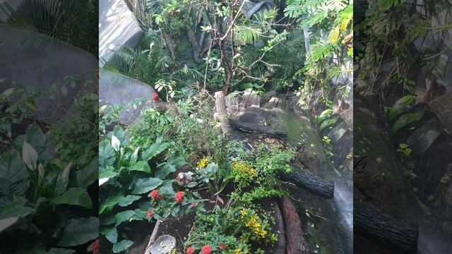 The green Planet Dubai!