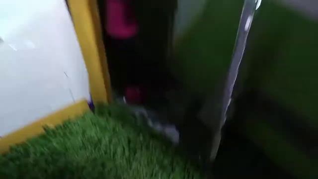 29 августа 2017 г.
