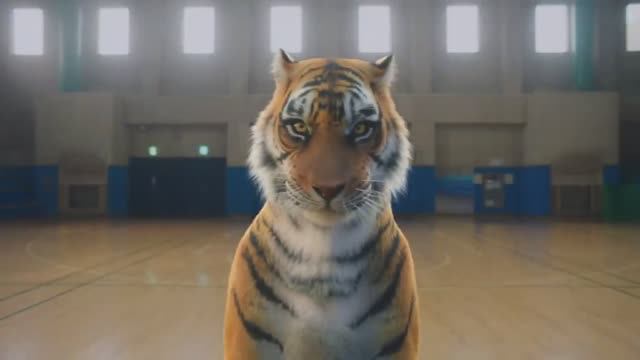 SEVENTEEN (세븐틴) '청춘찬가' Official MV
