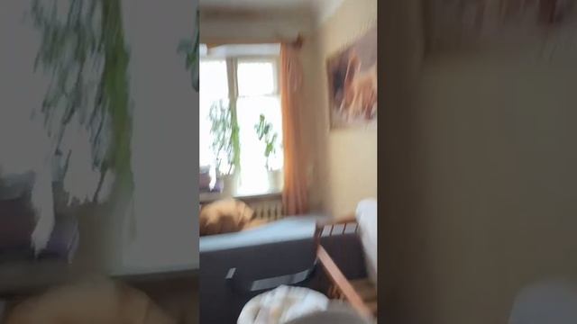 Во Внуково из-за бюрократии семья с 10 детьми вынуждена ютиться в общежитии с клопами!

На защиту мн