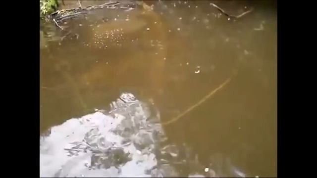 10 SCARY Fishing Videos Caught On Camera