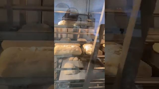 Видео закатывание тележки в Ротационную печь ORBITA