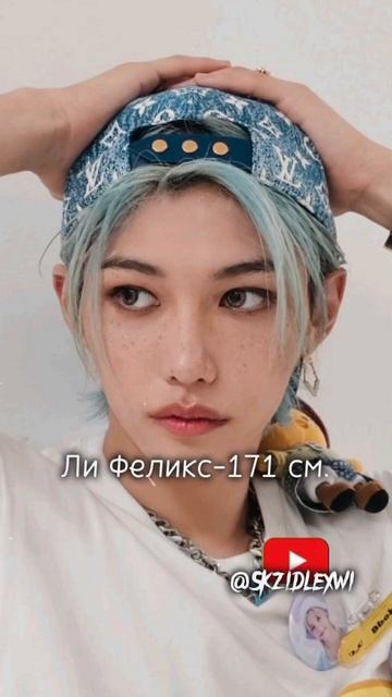 Рост участников Stray Kids🩵 #straykids