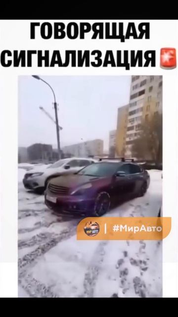 сигнализация 👍😀