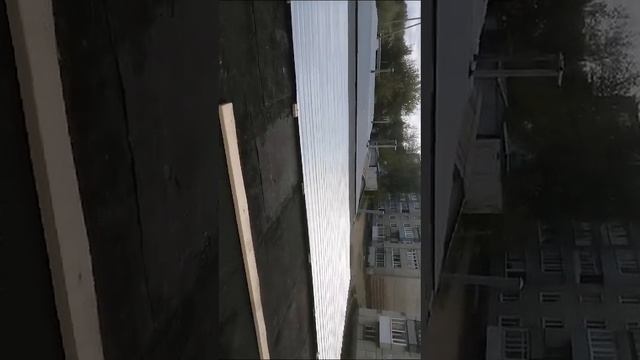 1000008594.mp4
