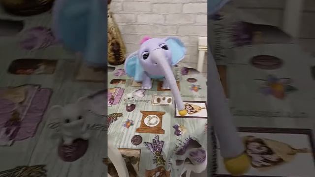 Слон Джуно