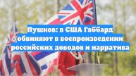Пушков: в США Габбард обвиняют в воспроизведении российских доводов и нарратива