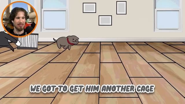 My Experience With Pets