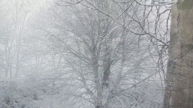 АСПАН НЕГЕ КӨК ТҮСТІ?  [BIBARYS AGAI]