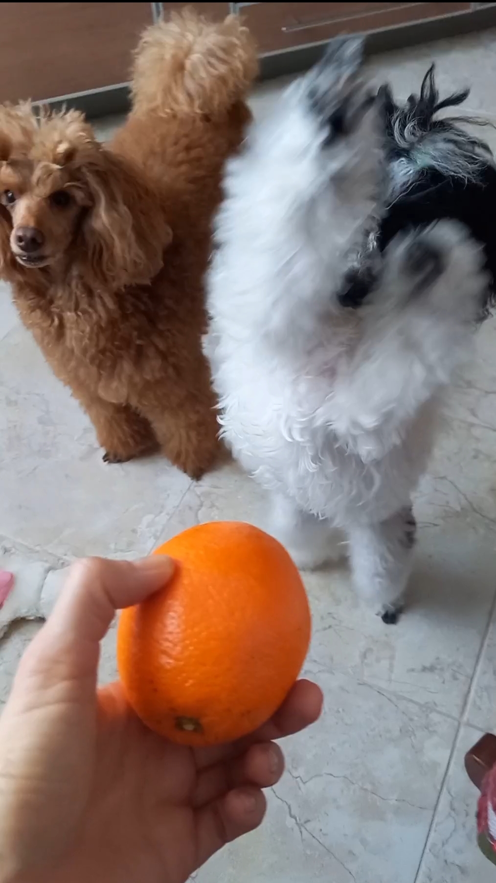 неприличный поступок