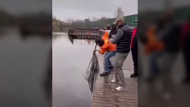 МИР УДИВИТЕЛЬНЫХ МОМЕНТОВ - (РЫБАЛКА) - ЧАСТЬ - 1.