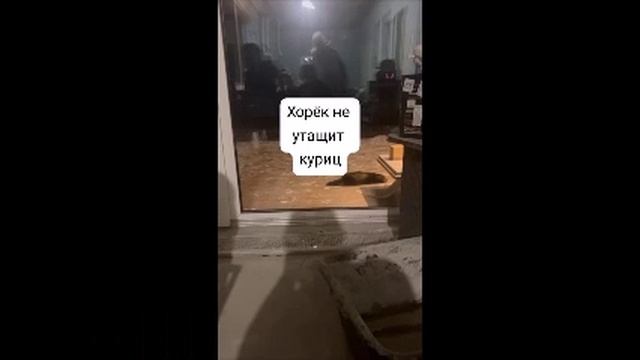 Немного мотивации