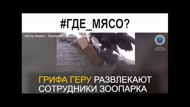 Смотрите сегодня