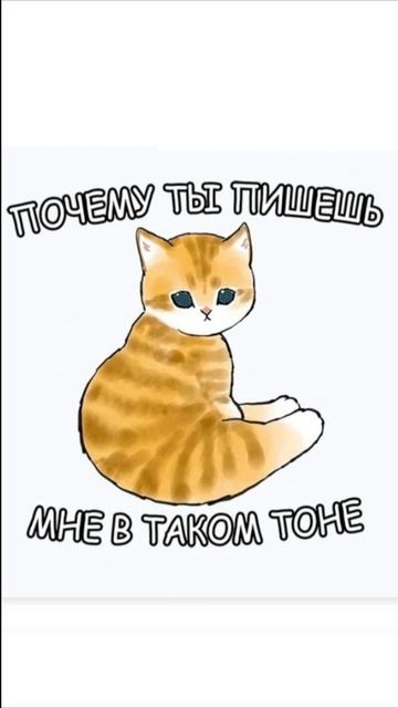 Много котиков (Мофу Санд)