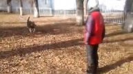 video 2014 11 05 12 51 33