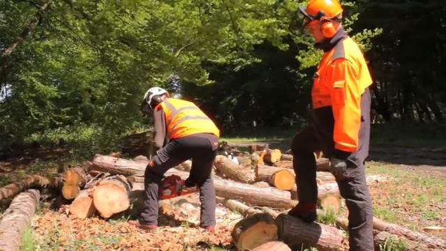 ECC1 - Crosscutting timber  (European Chainsaw Certificate)