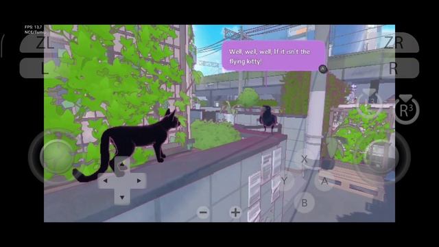 Yuzu | Little Kitty Big City | Test