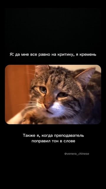 Как выучить китайский язык без стресса?