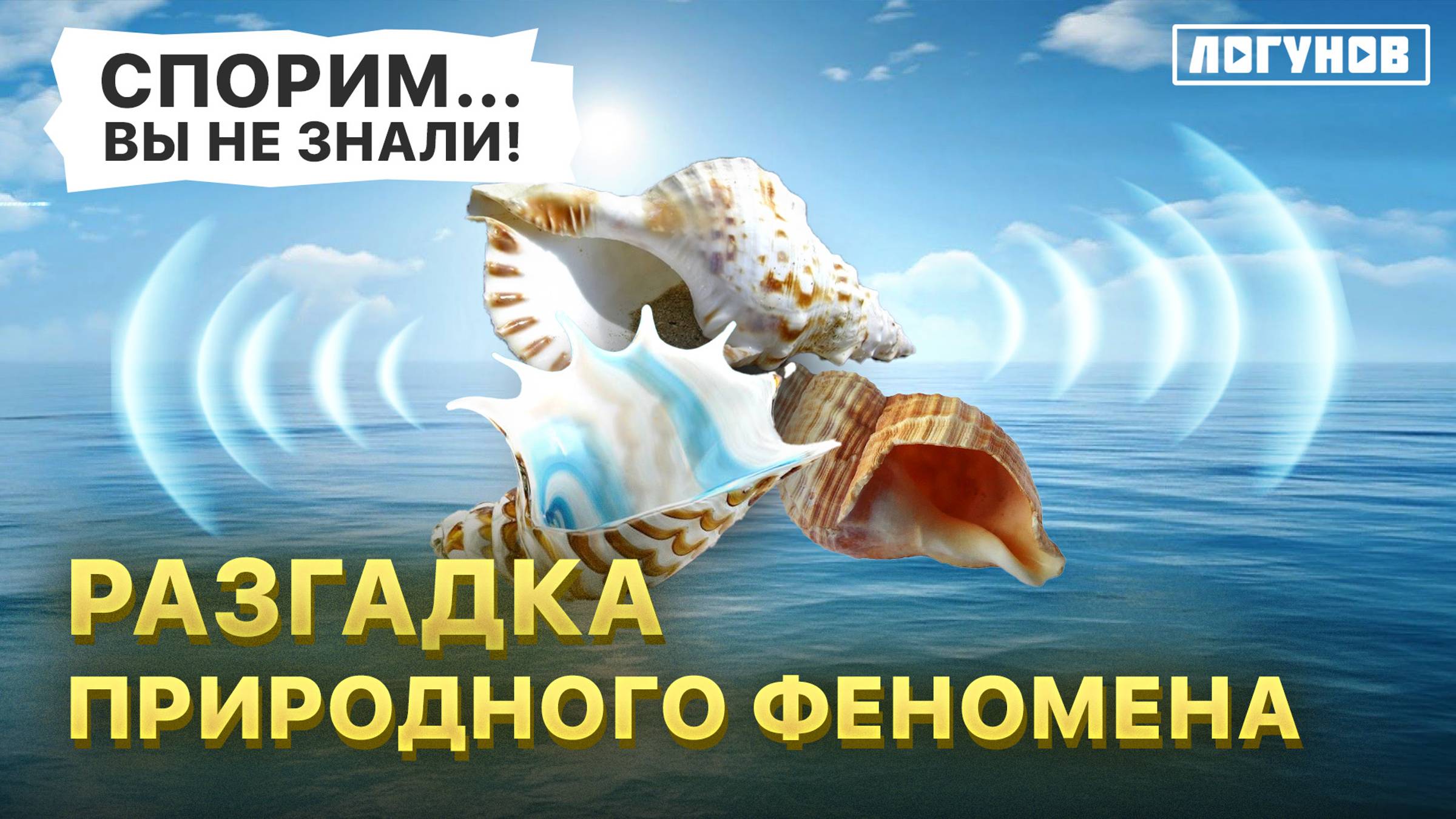 ПОЧЕМУ мы слышим звук в ракушках? 🐚 Научное объяснение и мифы | Интересные факты