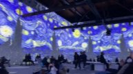 November in Review | Northern Lights | Seattle | Zoo Lights | Van Gogh Exhibit